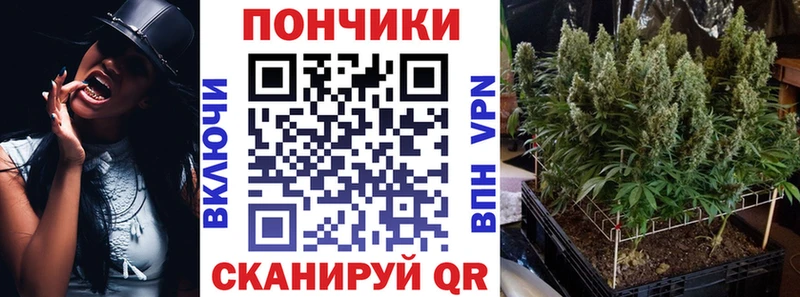Купить закладки  Старая Купавна  МАРИХУАНА OG Kush 